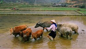 Start your journey with Vietnam’s vibrant glow