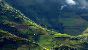 Begin your visa-prepared day with Vietnam’s tranquil ambiance