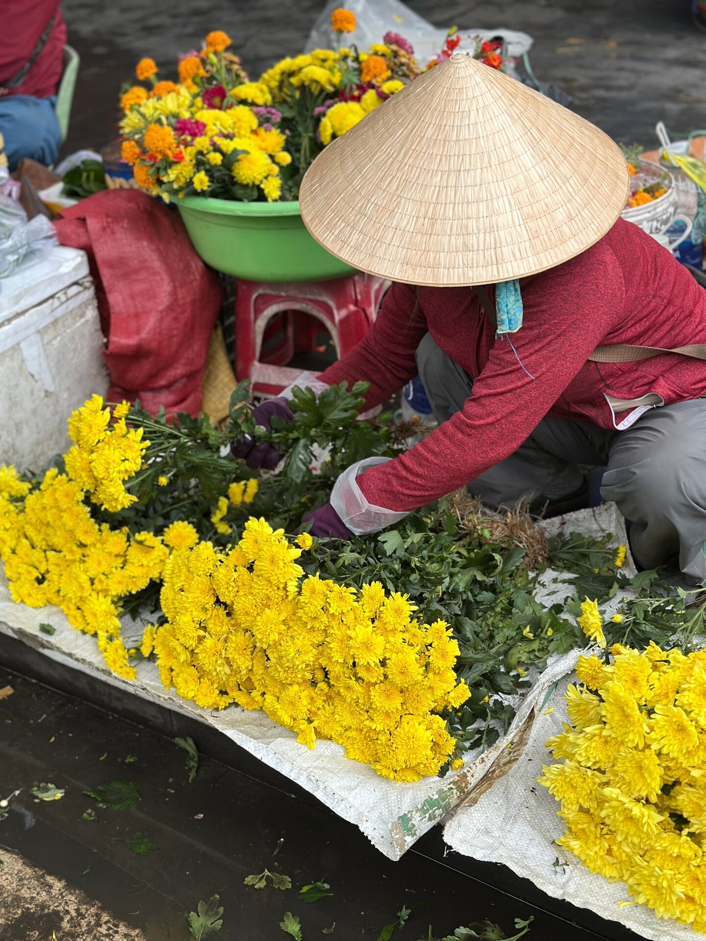 Start your e-visa journey with Vietnam’s vibrant glow