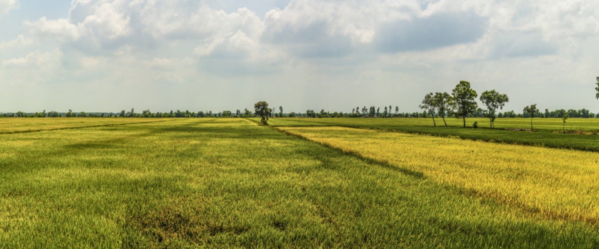Serene Chau Doc Mekong landscape in An Giang on a Chau Doc Travel banner by Legend Travel Group.