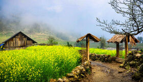 Begin your visa-prepared day with Vietnam’s tranquil ambiance