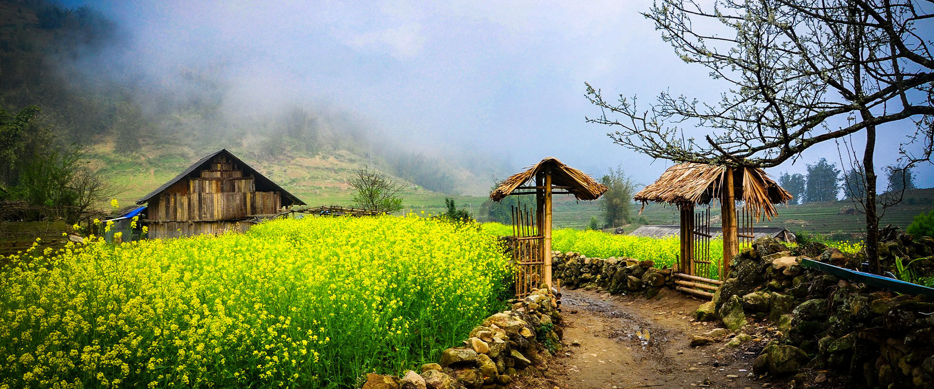 Lush Lao Chai rice terraces in Sapa on a scenic Lao Chai Travel banner by Legend Travel Group.