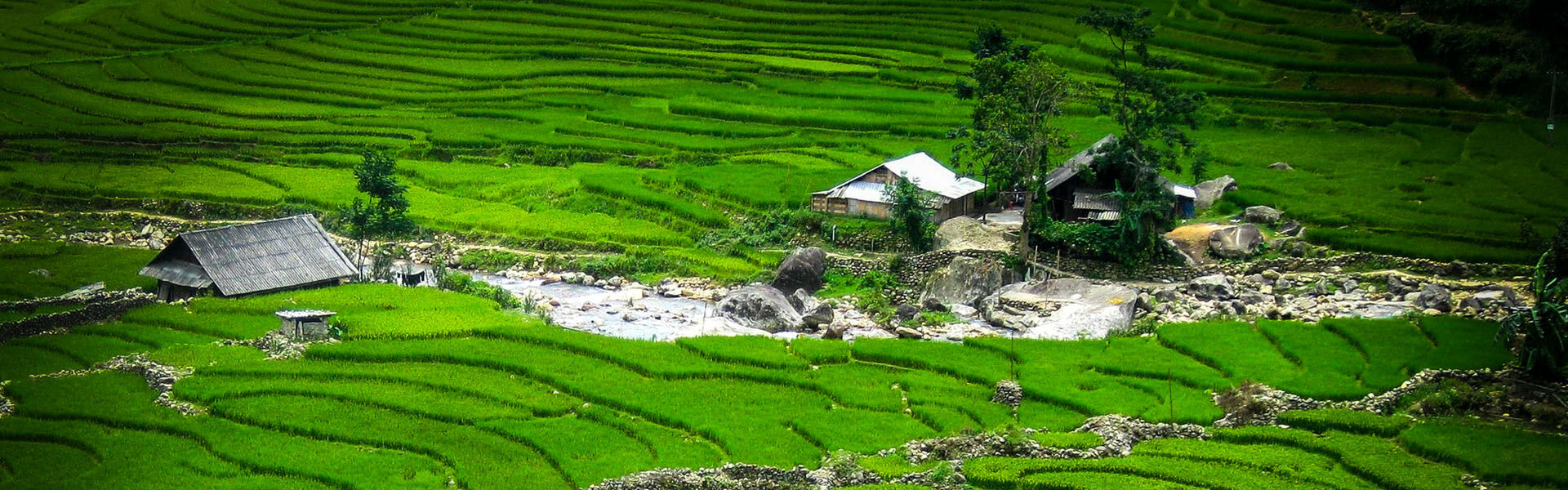 Serene Lao Chai valley in Vietnam on a Lao Chai Travel banner by Legend Travel Group.