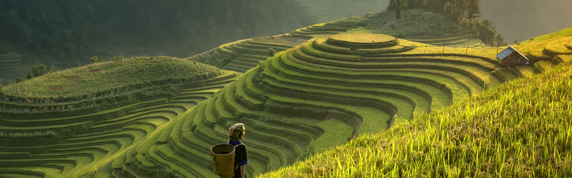 Explore. Discover. Celebrate.