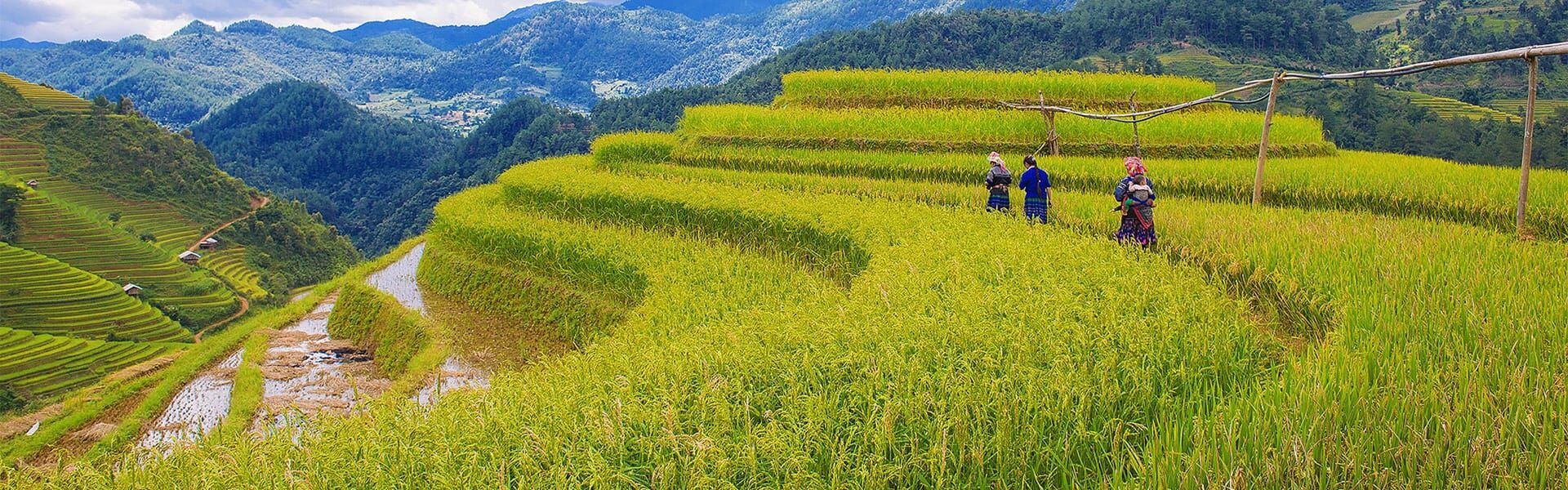 Viet Nam travel guide