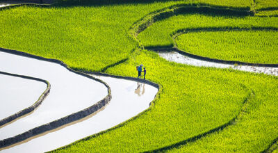 LaoChai-SaPa-tours-bn1