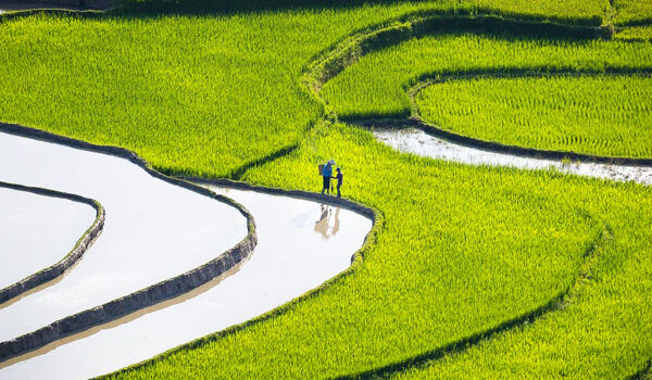 LaoChai-SaPa-tours-bn1