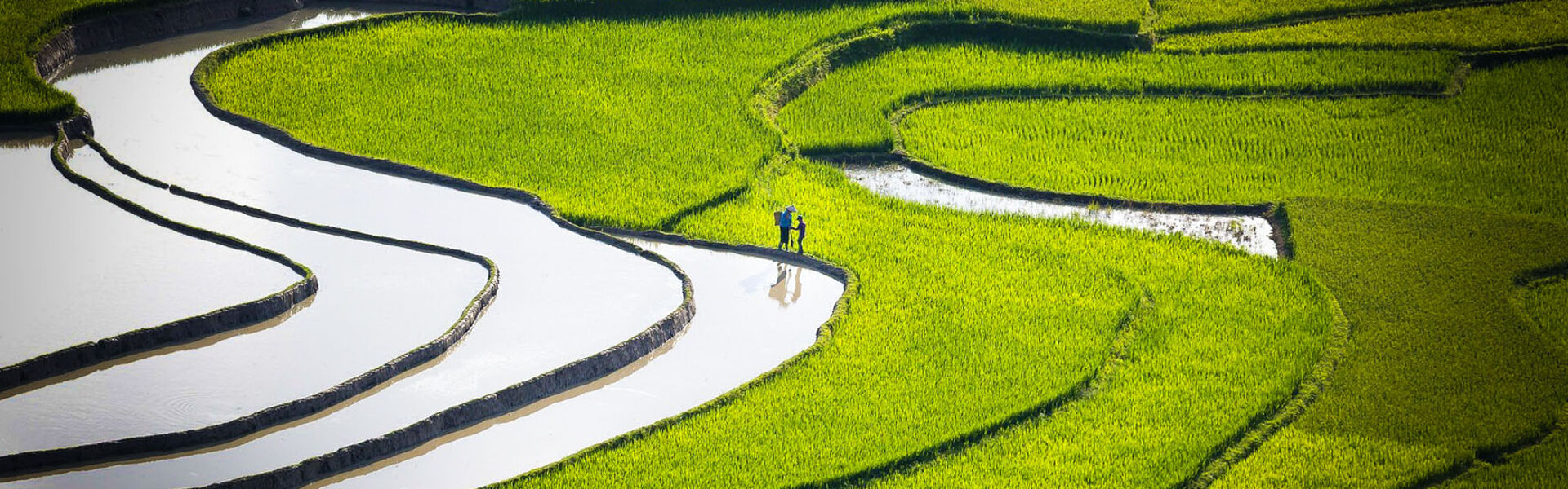 LaoChai-SaPa-tours-bn1