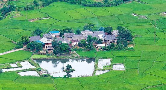 Mai Chau