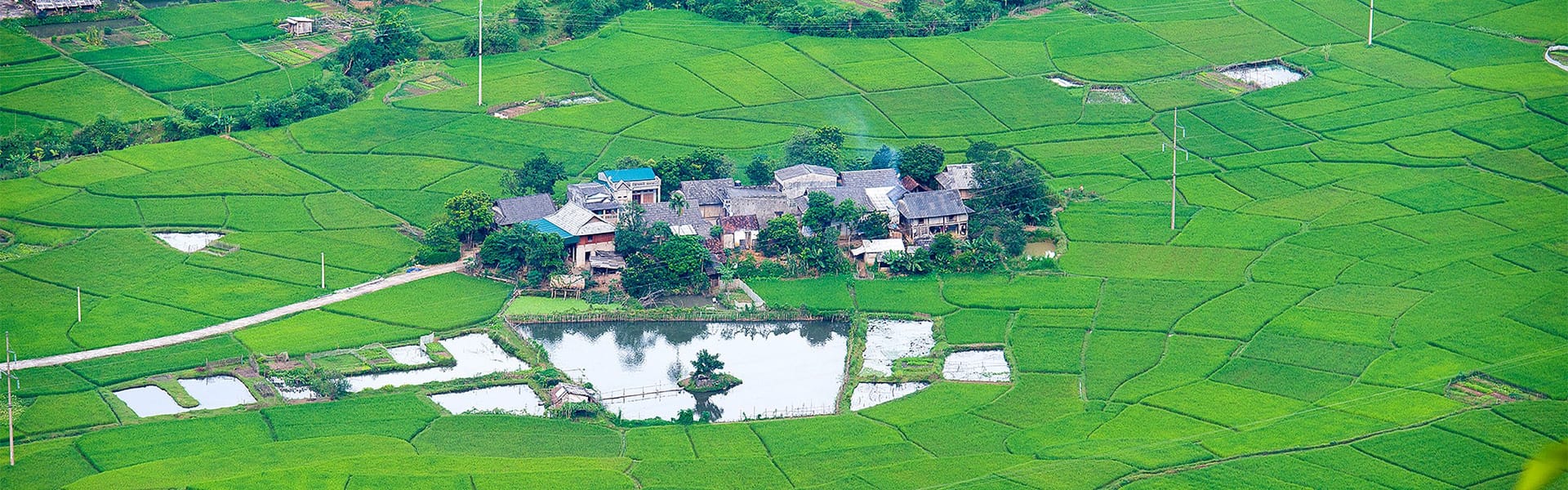 Viet Nam travel guide