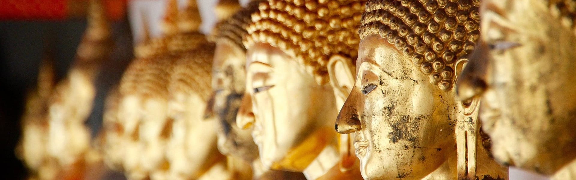 Viet Nam travel guide
