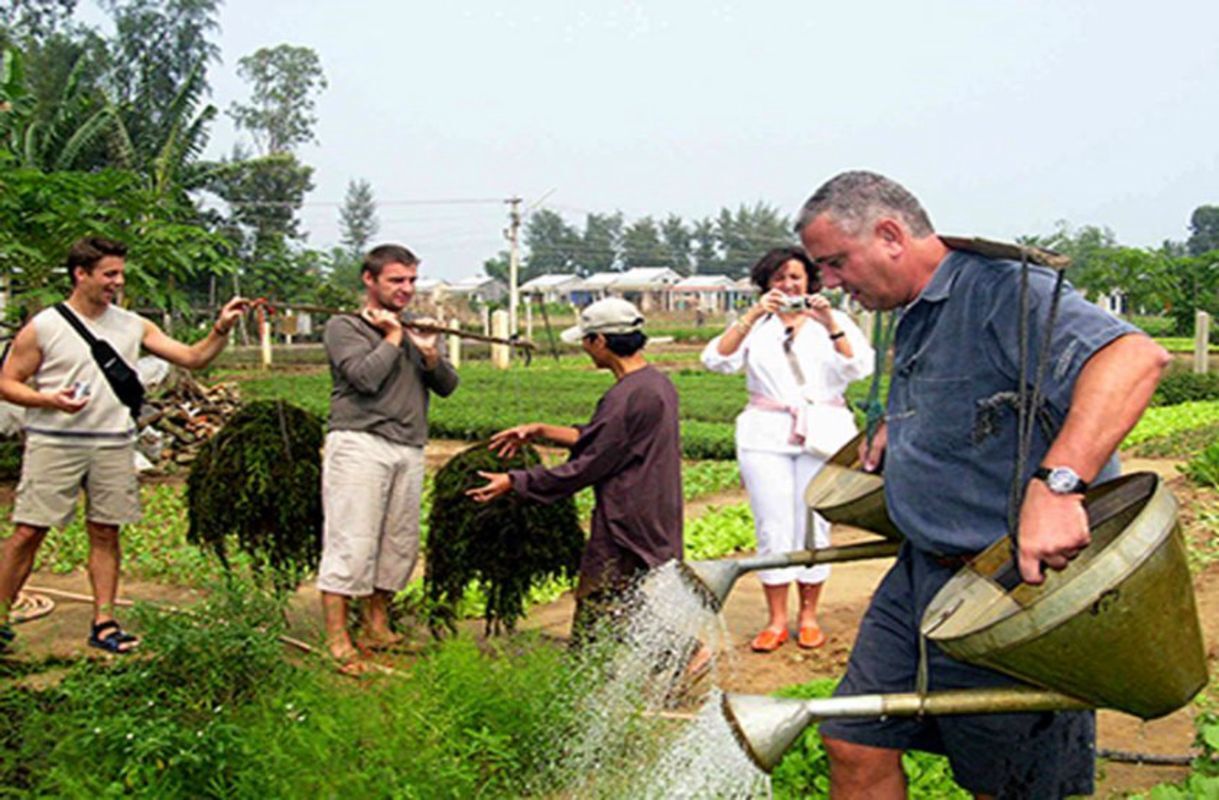 Capture the green beauty of Da Nang’s organic gem