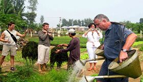 Capture the green beauty of Da Nang’s organic gem