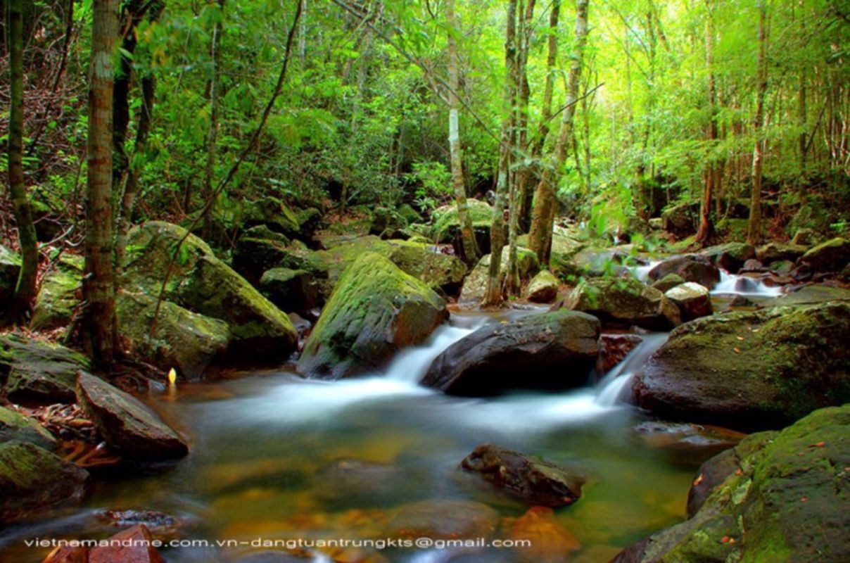 Dive into the lush charm of Phu Quoc Travel