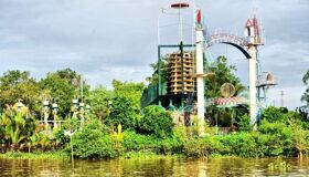 Dive into the serene charm of Dong Thap Travel
