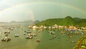 Dive into the biodiverse charm of Cat Ba Travel