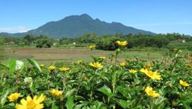 Dive into the adventurous charm of Hanoi Travel