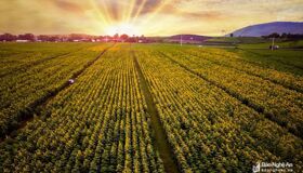 Dive into the wild beauty of Nghe An Travel