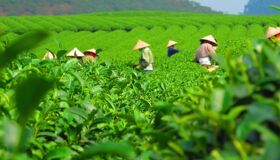 Dive into the wild charm of Nghe An Travel
