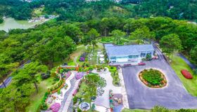 Photograph the vibrant allure of Da Lat’s romantic haven