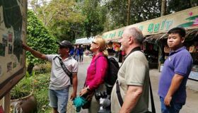 Embrace the vibrant spirit of Dong Thap Travel adventures