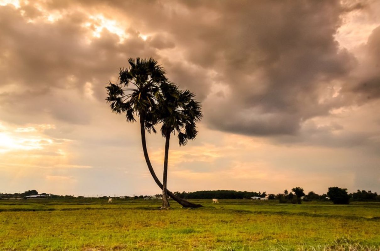 Start your An Giang Travel with serene vistas