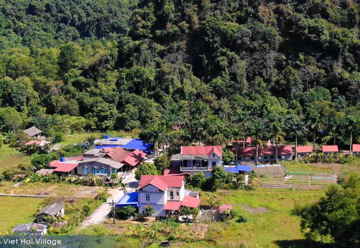 Capture the rustic beauty of Cat Ba’s eco-tourism gem