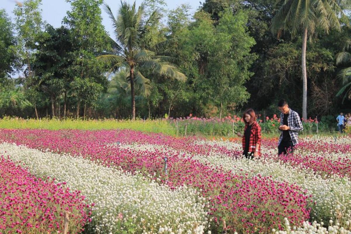 Seize the vibrant spirit of Tien Giang Travel