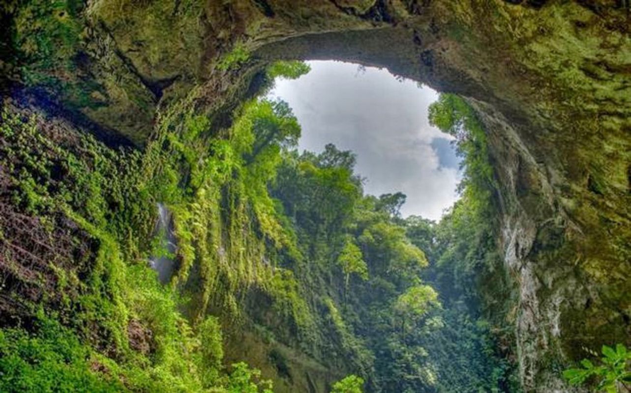 Photograph the wildlife allure of Phong Nha’s heritage