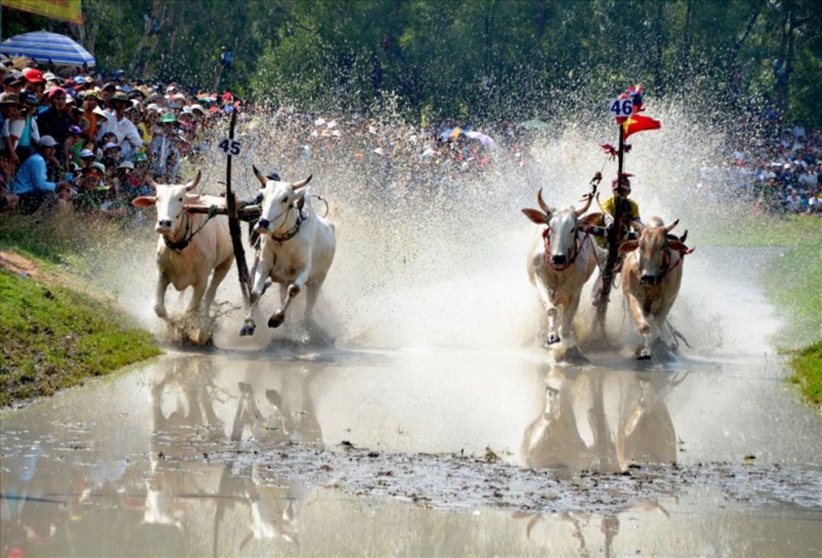 Experience An Giang Tours with sustainable adventures