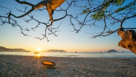 Photograph the vibrant allure of Con Dao’s marine life