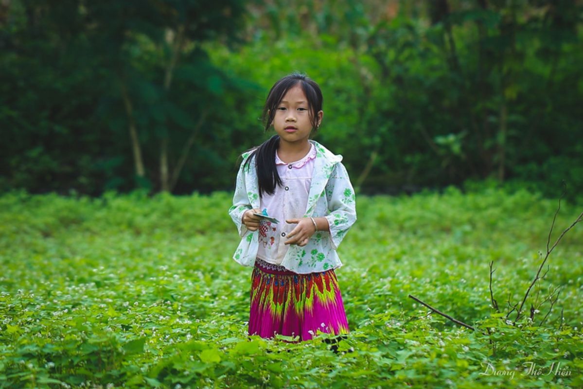 Begin your Tuyen Quang Tours with a cultural adventure