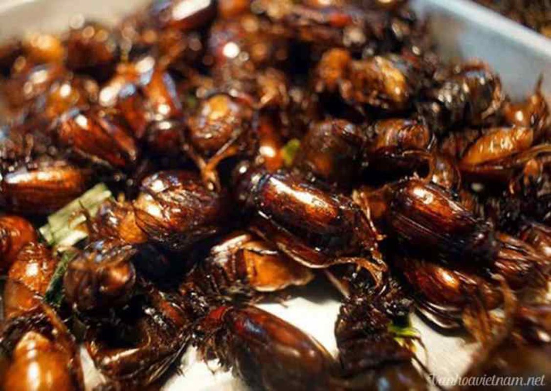 Capture the authentic charm of An Giang’s food culture