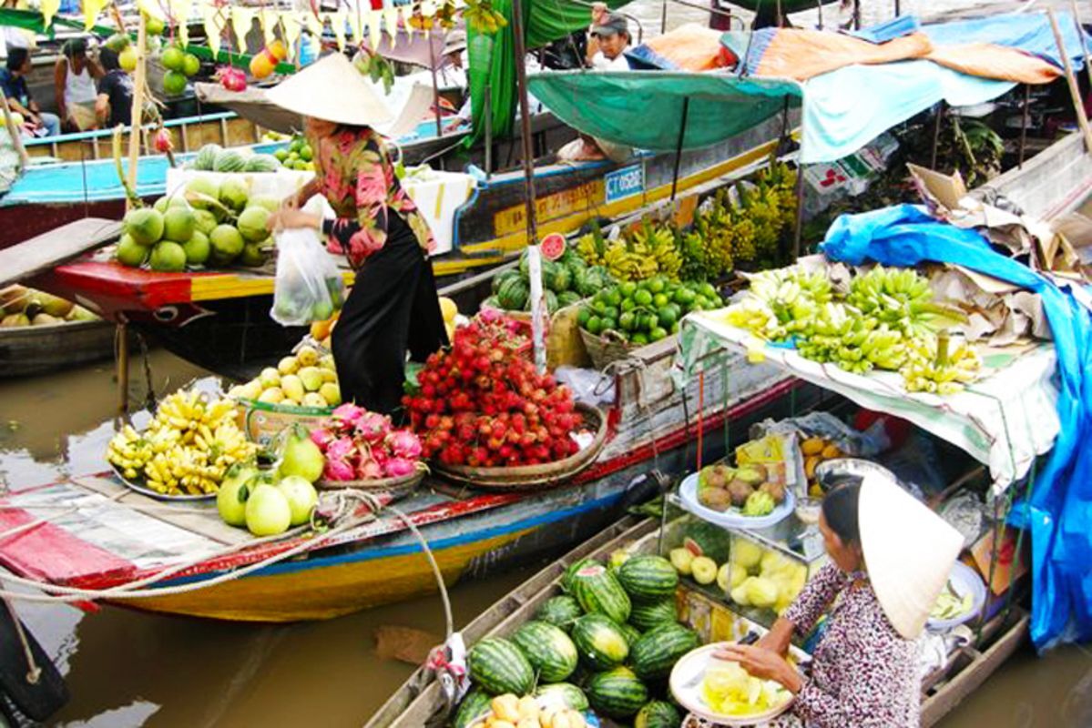 Start your Ca Mau Travel with vibrant waterway vibes
