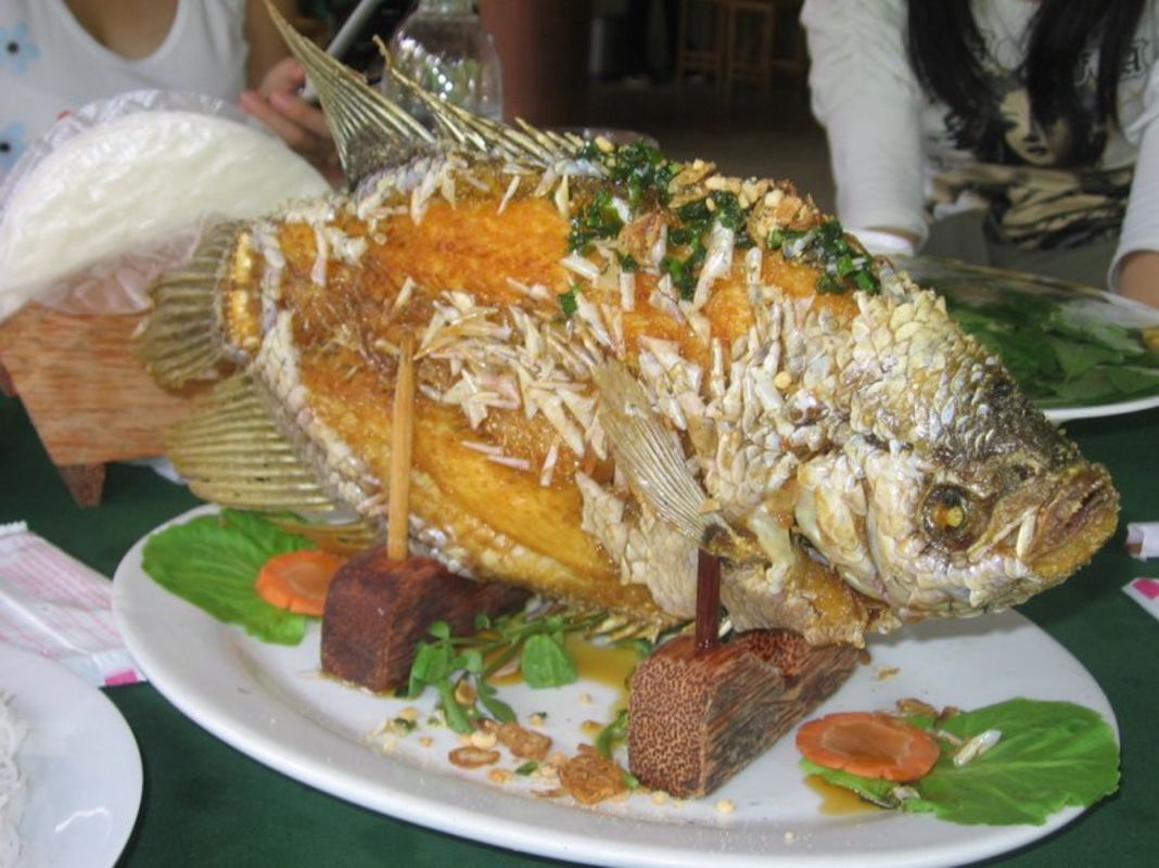 Capture the crispy essence of Vinh Long’s culinary gem