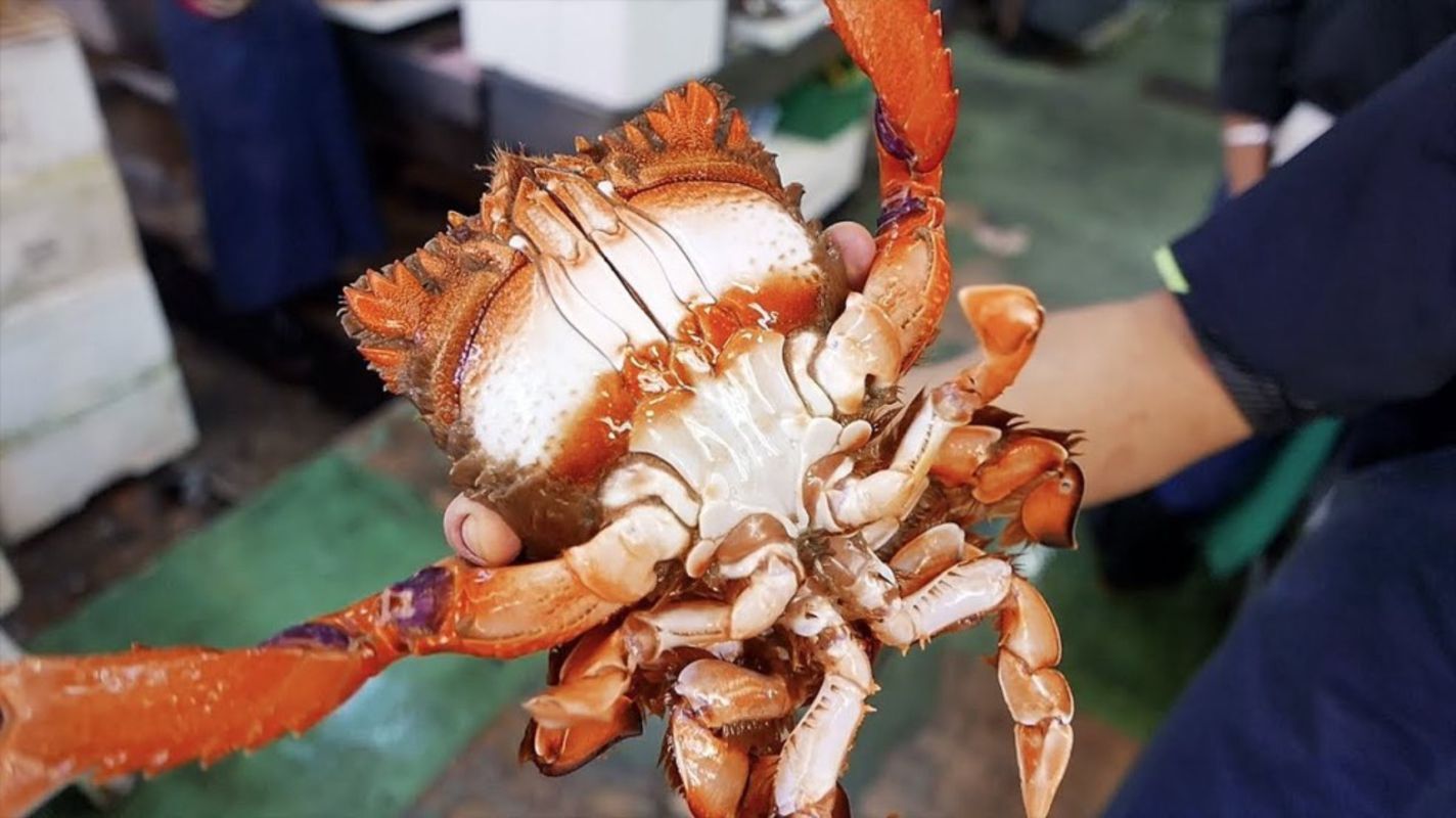 Seafood