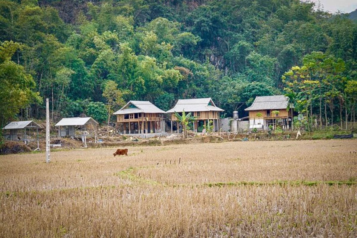 Capture the cultural charm of Mai Chau’s eco-tourism haven