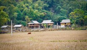Capture the cultural charm of Mai Chau’s eco-tourism haven