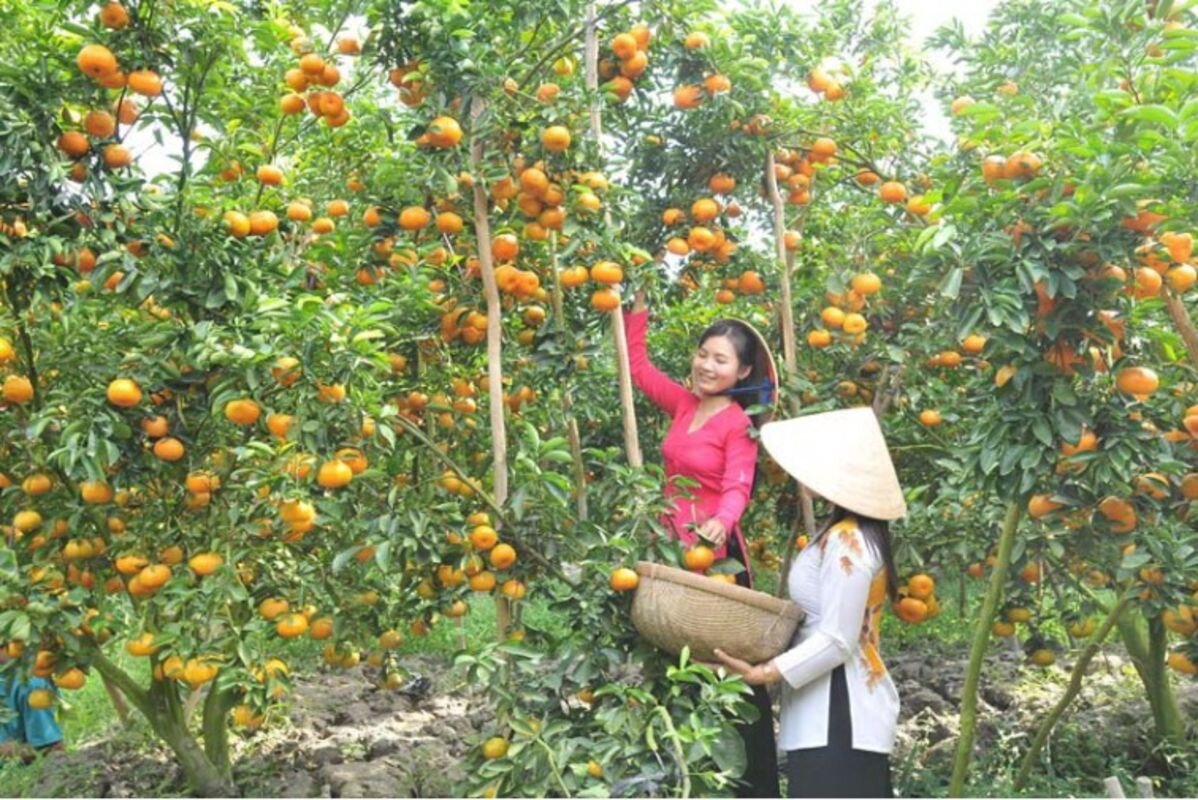 Dive into the vibrant charm of Ha Tinh Travel