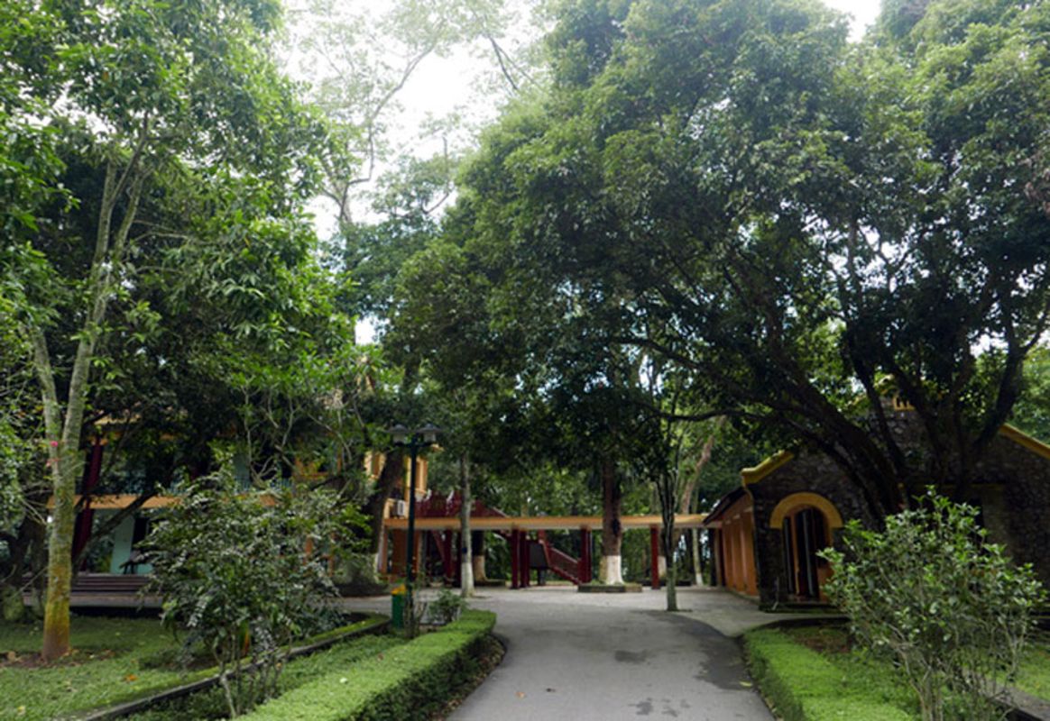 Start your K9 Đá Chông Travel with tranquil vibes