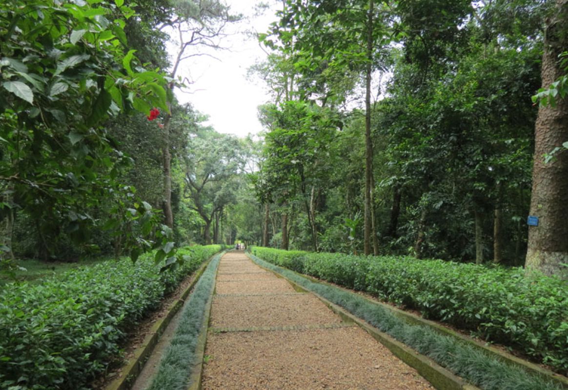 Learn K9 Đá Chông’s legacy with expert insights