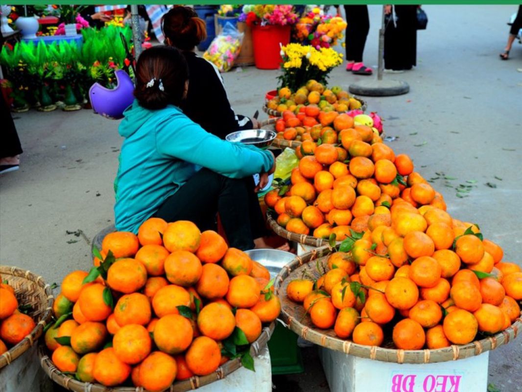 Start your Ha Tinh Travel with serene vistas