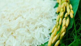 Dive into the authentic flavors of Long An Travel