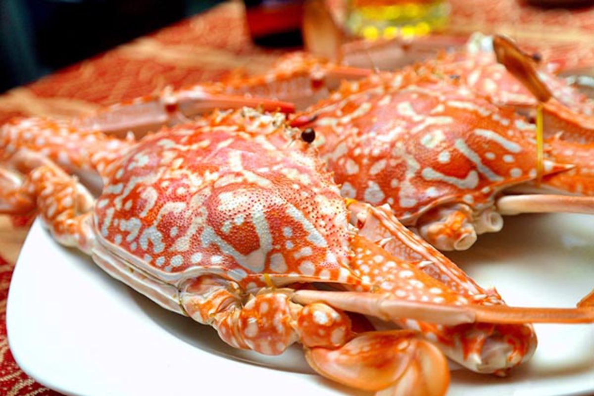 Cua Lo Flower Crabs - Capture the sweet essence of Nghe An’s coastal gem