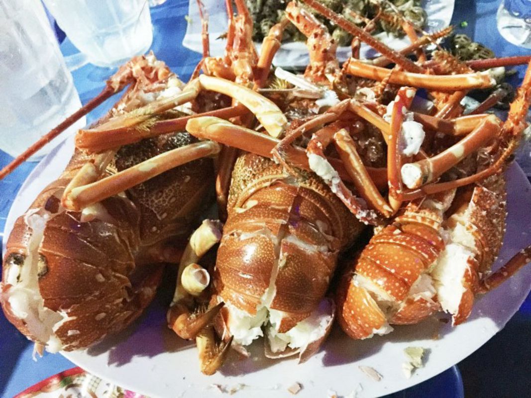 Learn Khanh Hoa’s coastal legacy with expert insights
