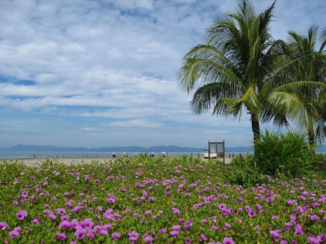 Capture the sustainable charm of Thai Binh’s ecotourism