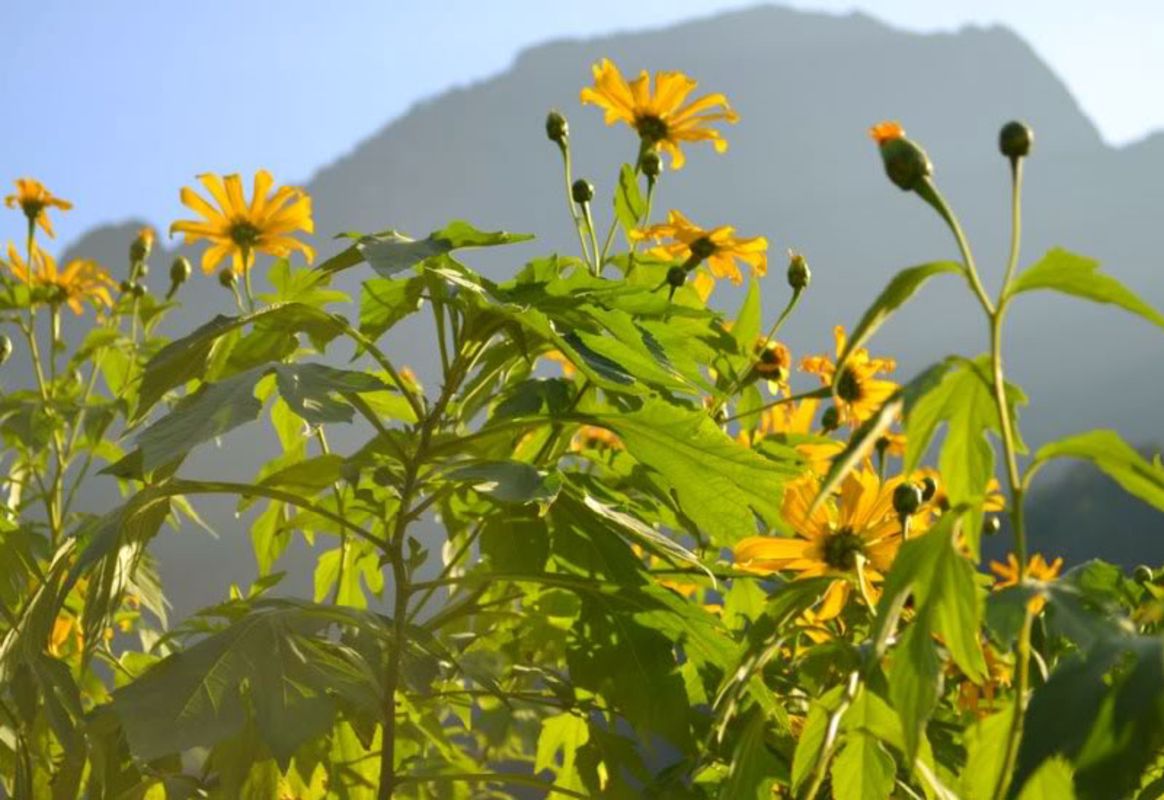 Start your Hanoi Travel with serene vistas
