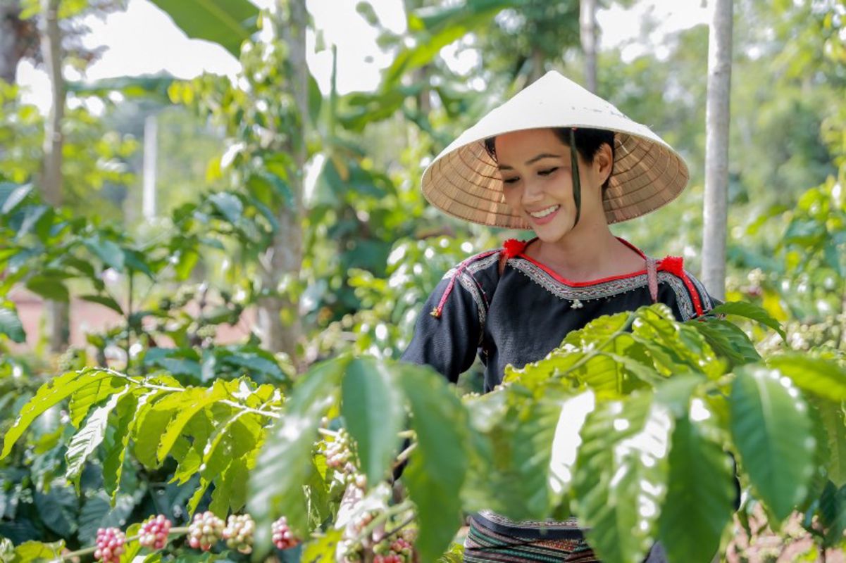 Capture the heartfelt hospitality of Dak Lak’s cultural gem