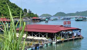 Dive into the unique charm of Cat Ba Travel
