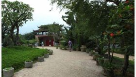 Dive into the authentic charm of Ba Vì Travel